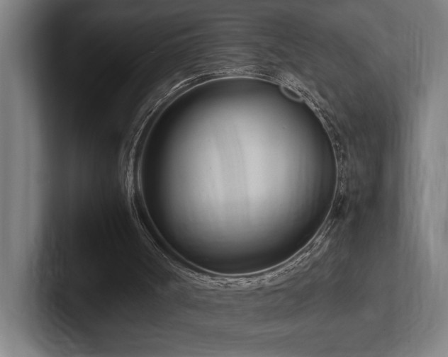 X0000102760002200808181118
