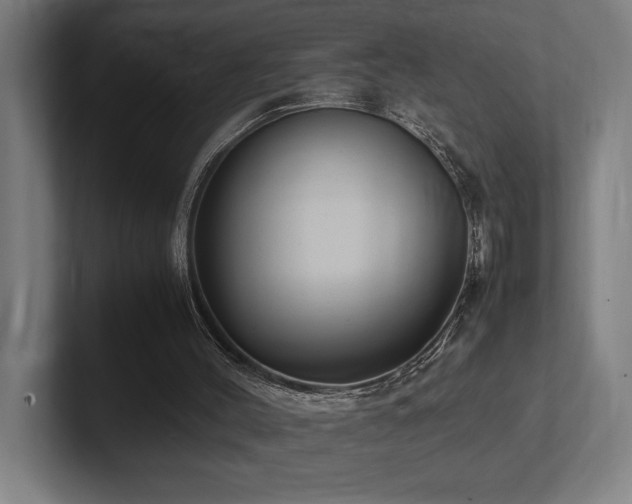 X0000102760004200808181118