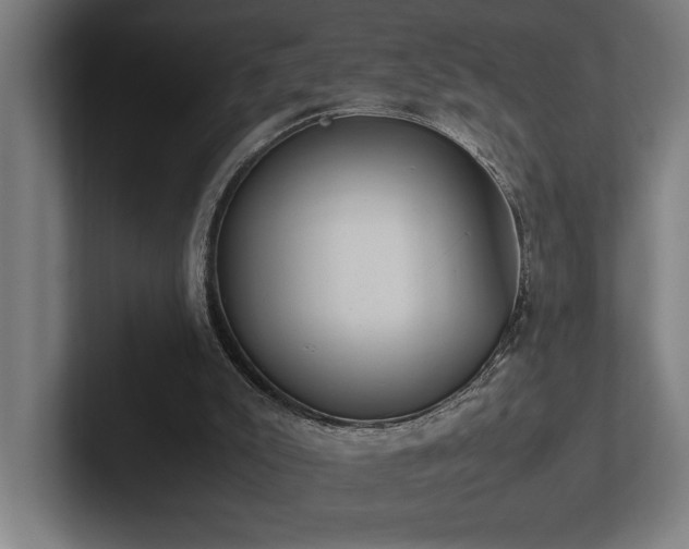 X0000102760007200808181118