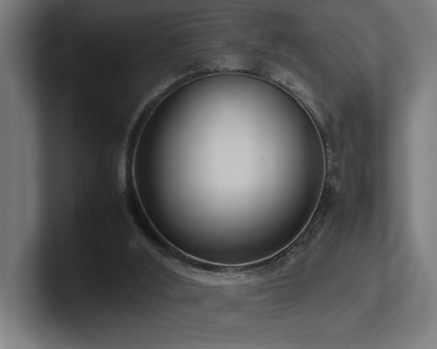X0000102760012200808181118