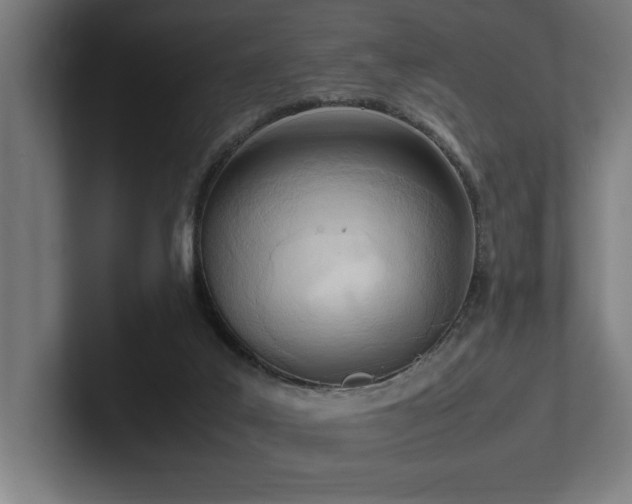 X0000102760019200808181118
