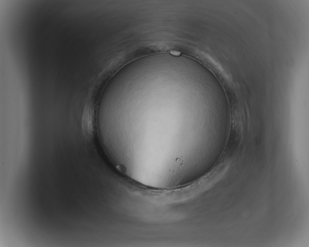 X0000102760023200808181118