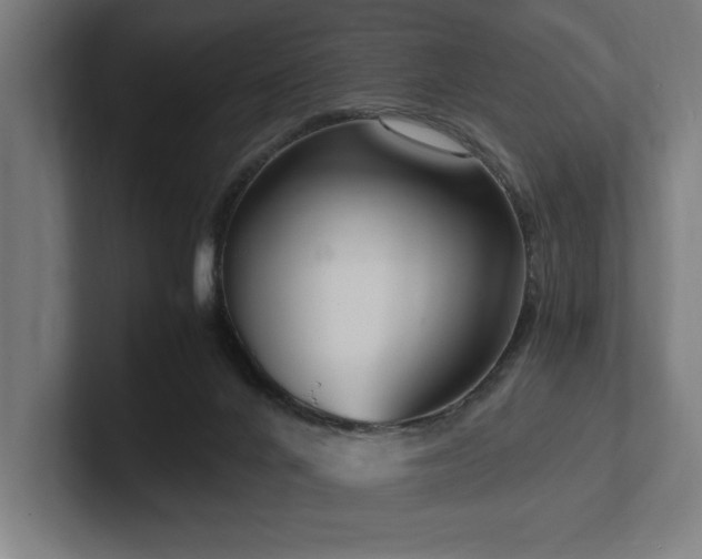 X0000102760024200808181118