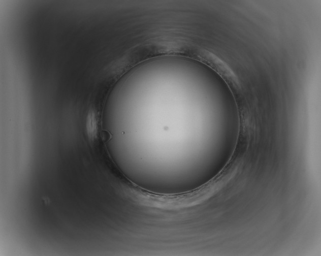 X0000102760026200808181118