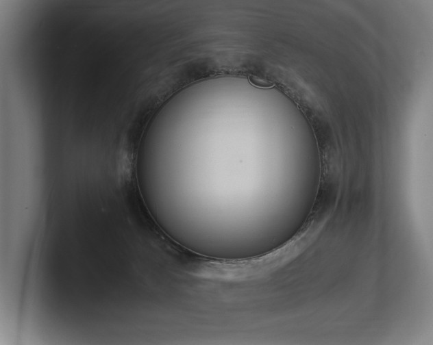 X0000102760033200808181118