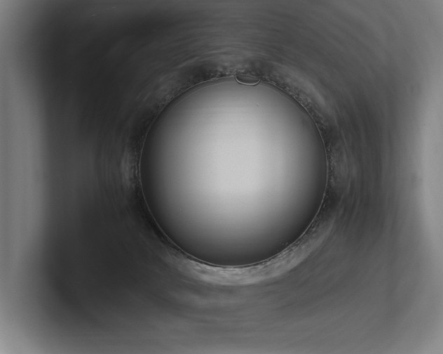X0000102760034200808181118