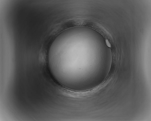 X0000102760035200808181118