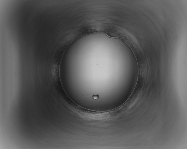 X0000102760036200808181118