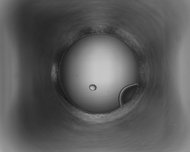 X0000102760038200808181118