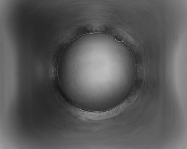 X0000102760039200808181118