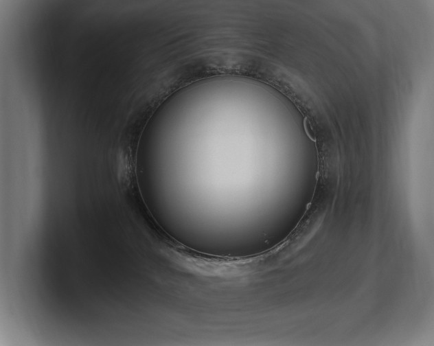 X0000102760040200808181118