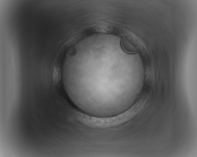 X0000102760043200808181118