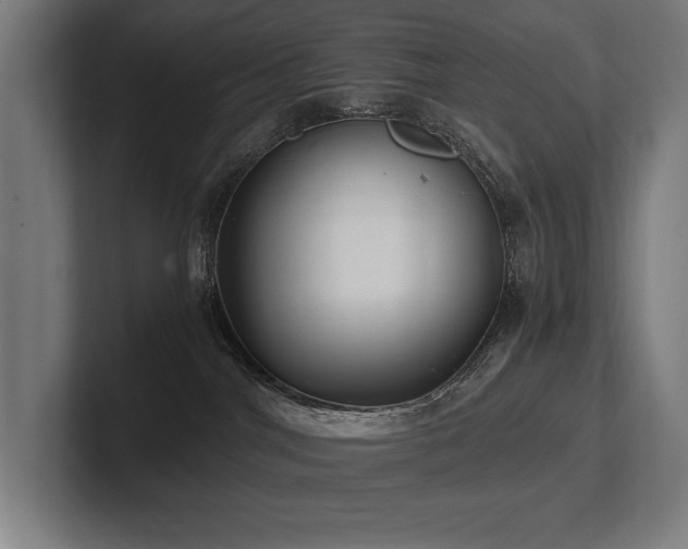 X0000102760044200808181118