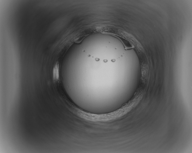 X0000102760046200808181118