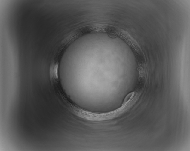 X0000102760047200808181118