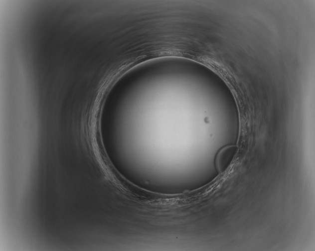 X0000102760049200808181117