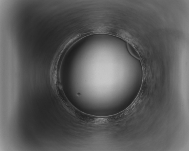 X0000102760050200808181117