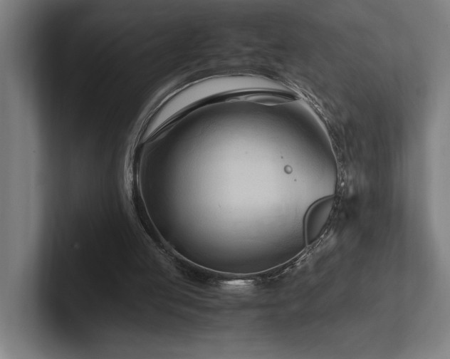 X0000102760053200808181117