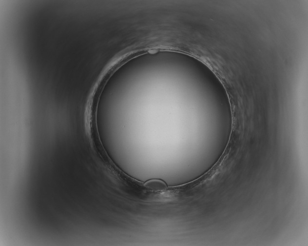 X0000102760056200808181117