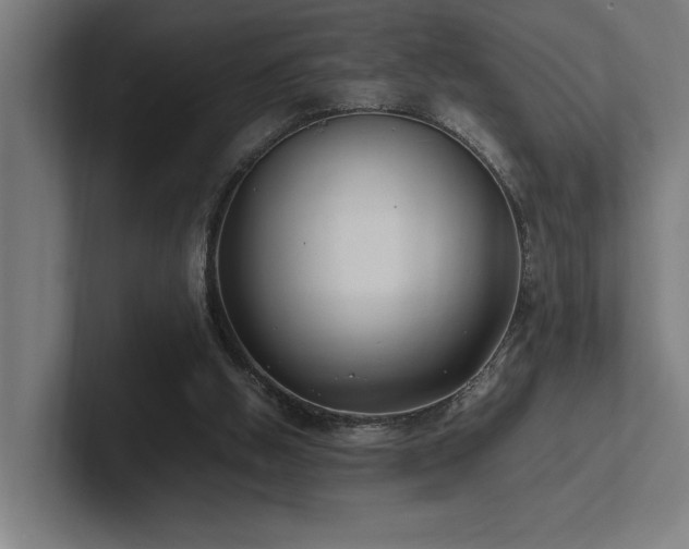 X0000102760058200808181117