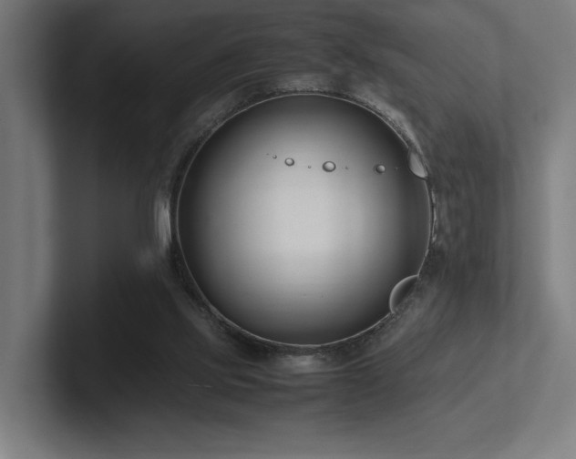 X0000102760061200808181117