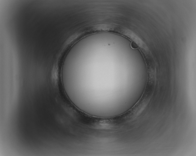 X0000102760064200808181117