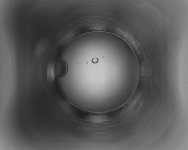 X0000102760069200808181117