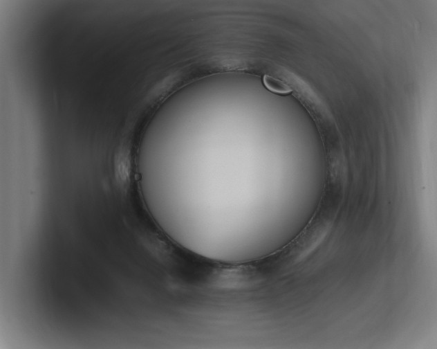 X0000102760072200808181117