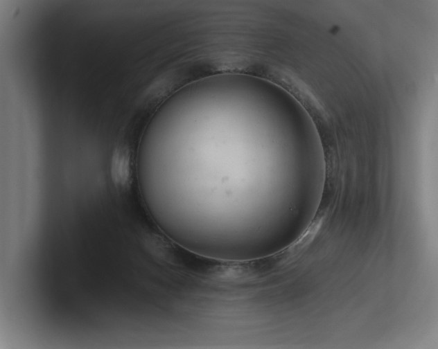 X0000102760074200808181117