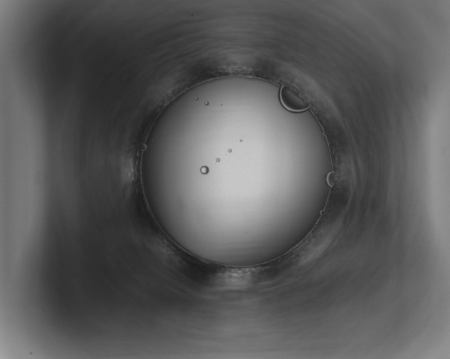 X0000102760084200808181118