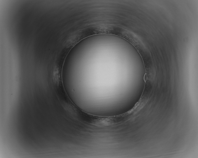 X0000102760086200808181118