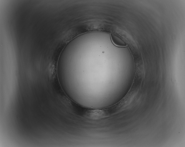 X0000102760087200808181118
