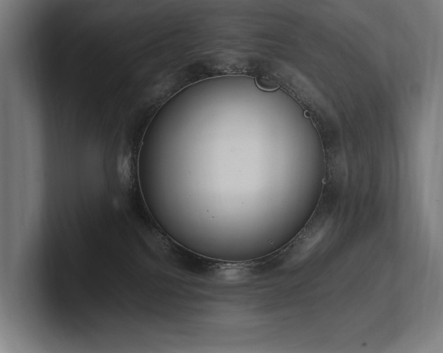 X0000102760088200808181118