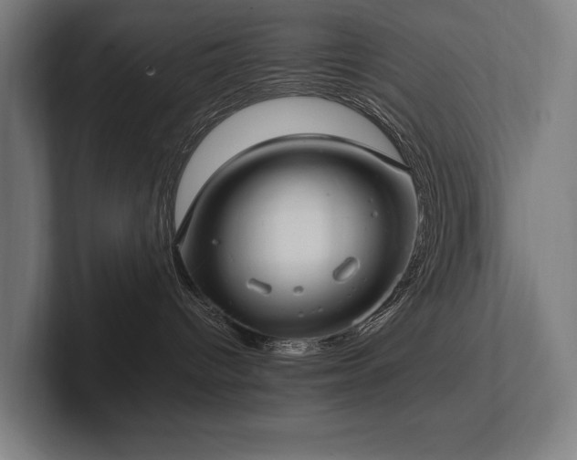 X0000102760096200808181118