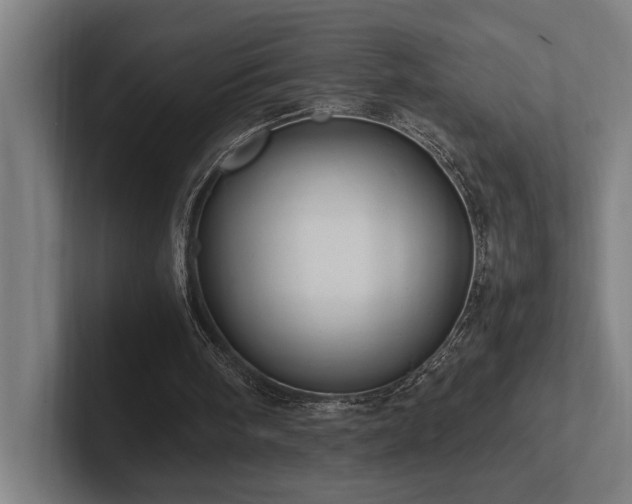 X0000102760098200808181117