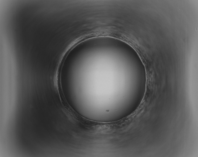 X0000102760100200808181117