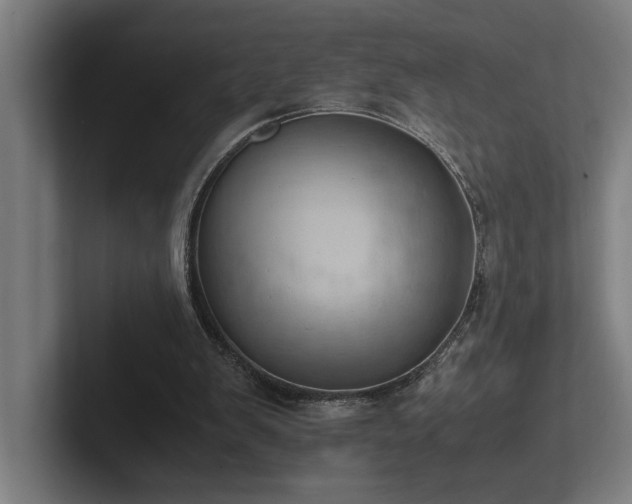 X0000102760103200808181117
