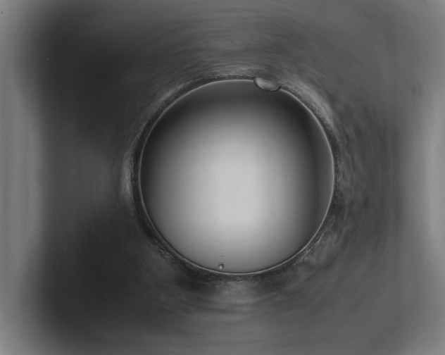 X0000102760107200808181117
