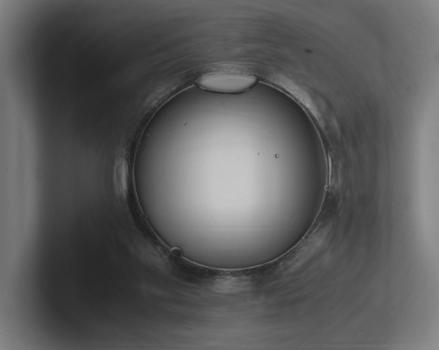 X0000102760109200808181117