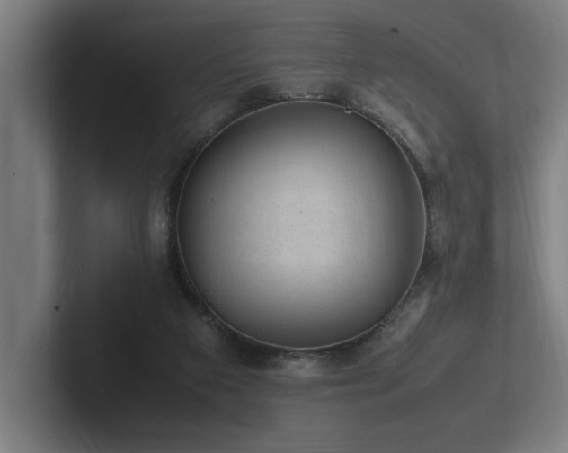 X0000102760113200808181117