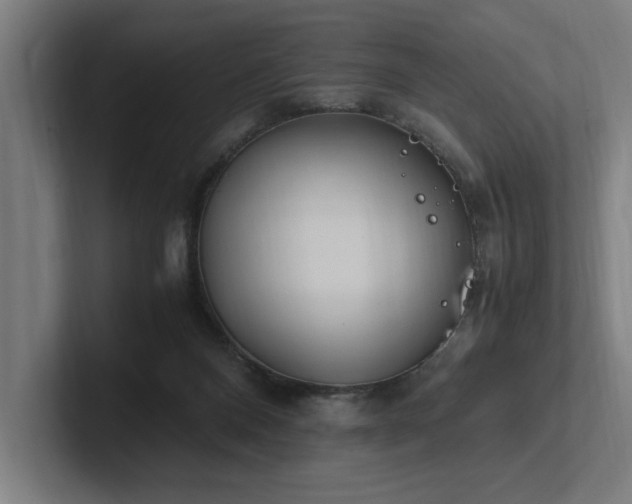 X0000102760120200808181117