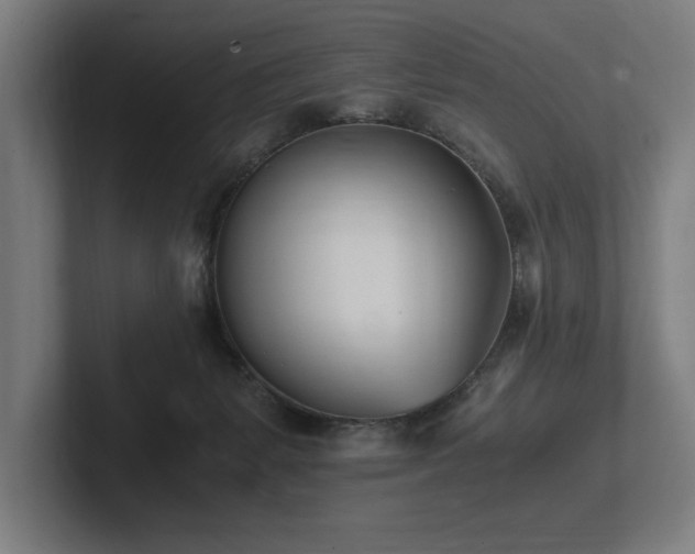 X0000102760127200808181117