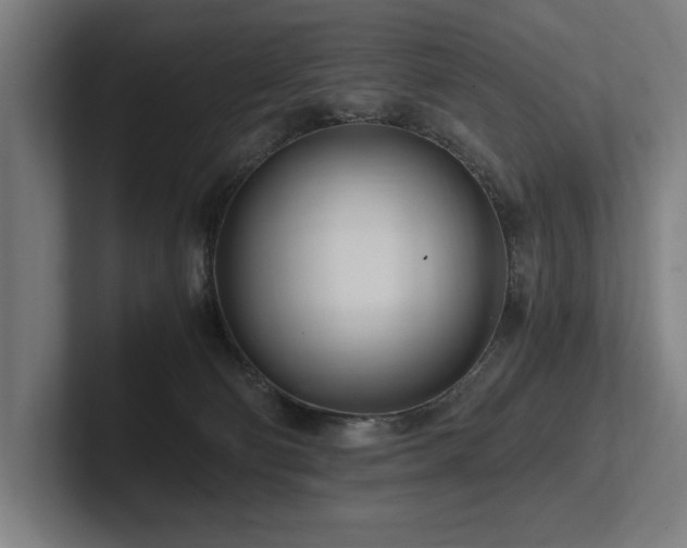 X0000102760130200808181117