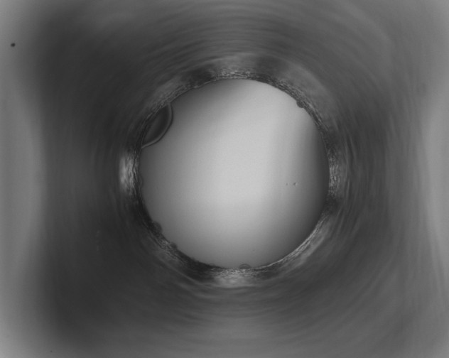 X0000102760142200808181116