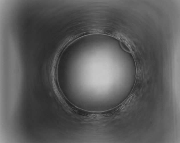 X0000102760145200808181116