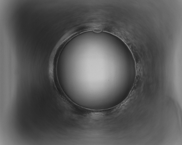 X0000102760150200808181116