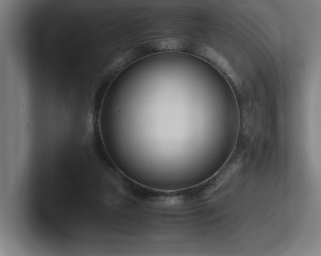 X0000102760161200808181116