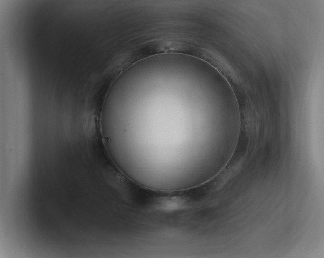 X0000102760169200808181116