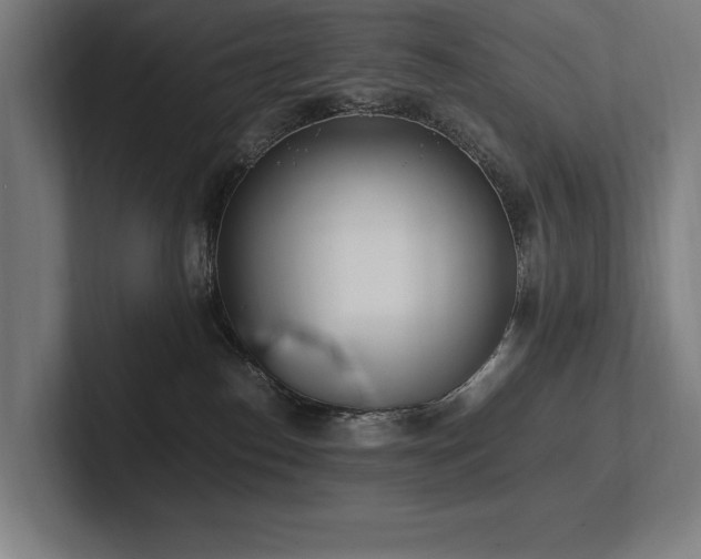X0000102760186200808181116