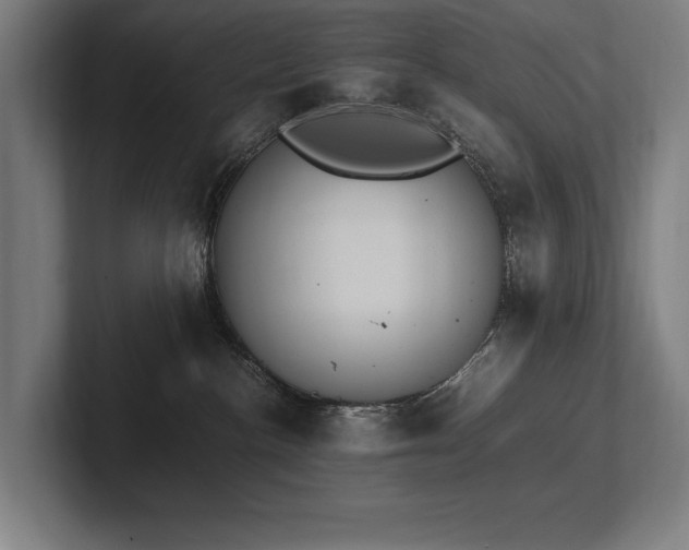 X0000102760188200808181116